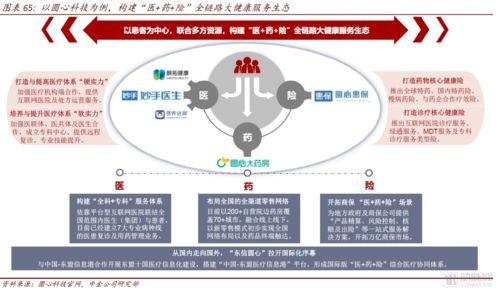 中金公司互聯(lián)網(wǎng)醫(yī)藥產(chǎn)業(yè)報(bào)告 醫(yī)藥零售高毛利時(shí)代謝幕，全域互聯(lián)網(wǎng)銷售新紀(jì)元已來(lái)